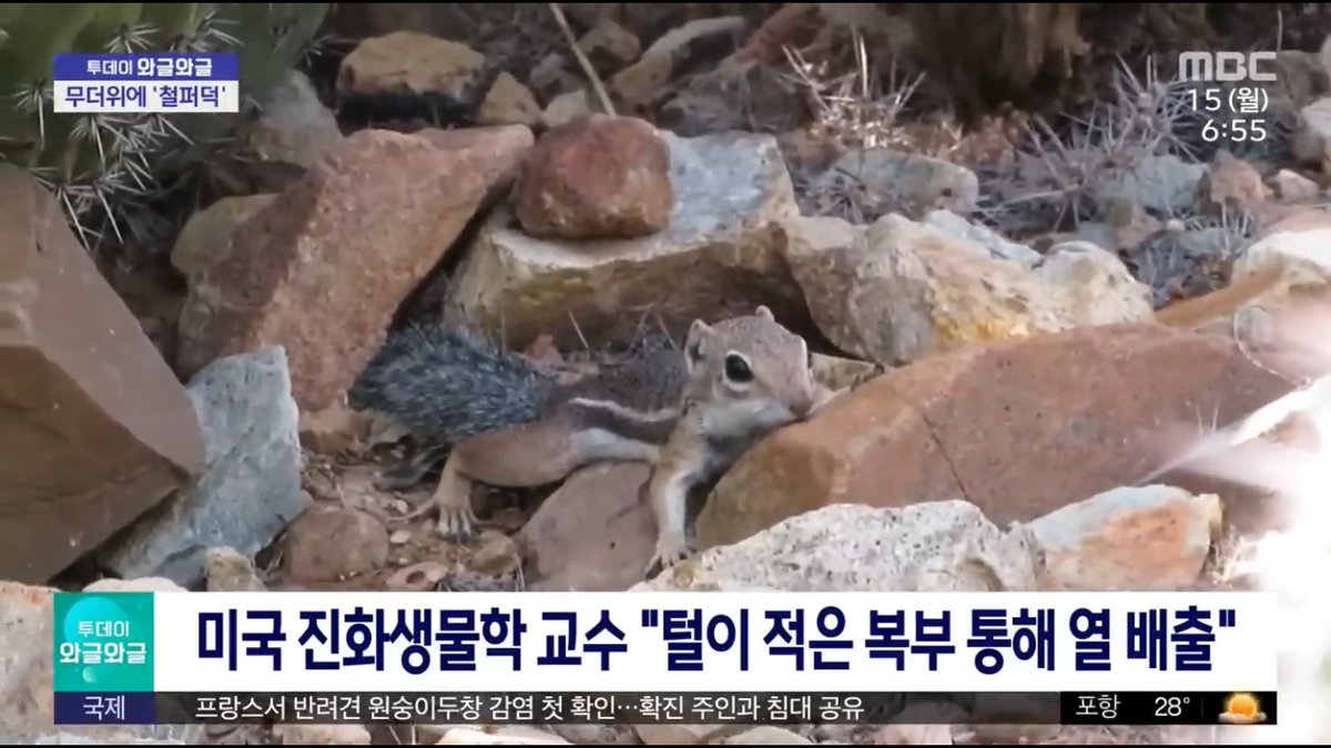 힐링짤모으는곳 tweet media