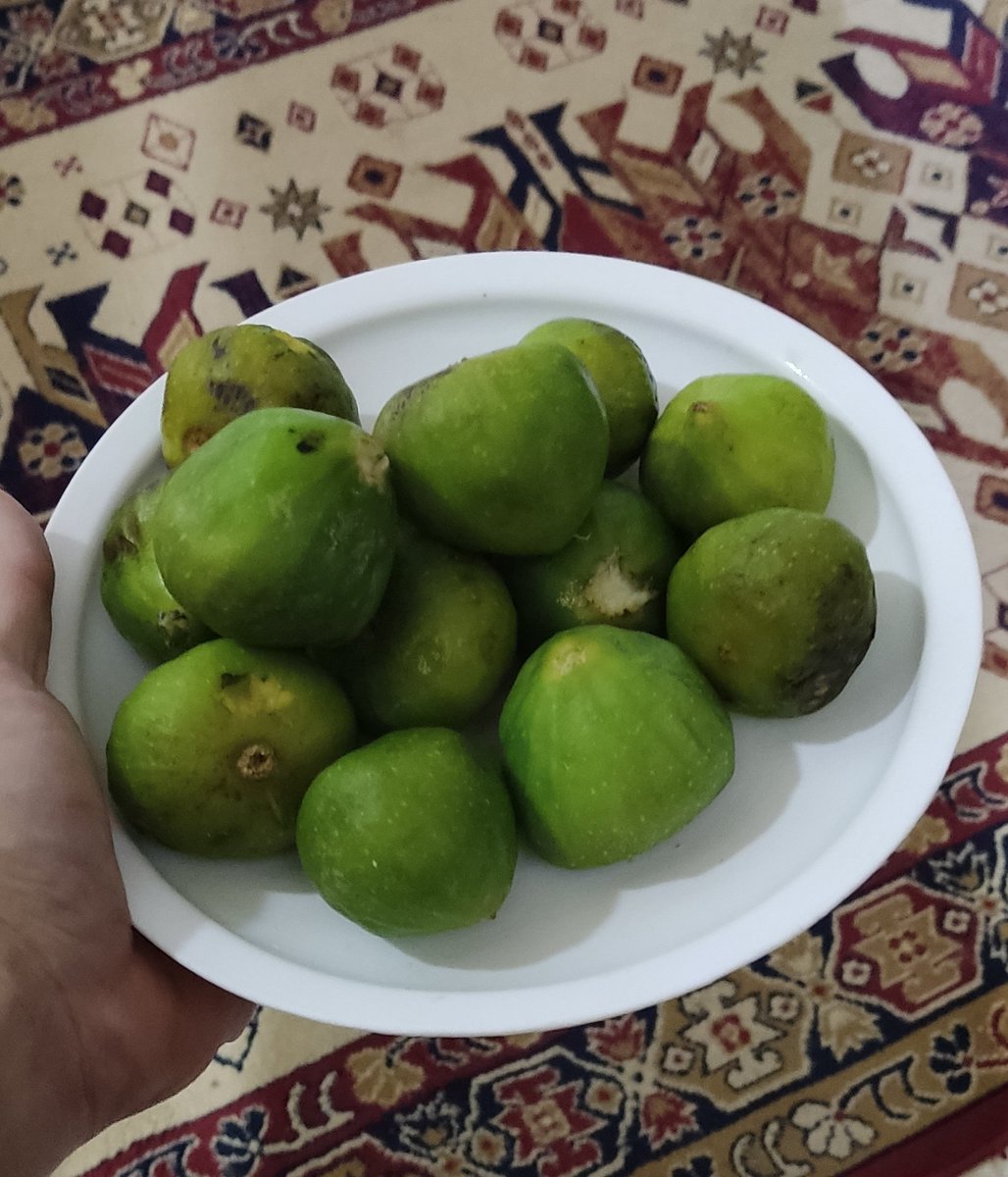 ادريس الكوافي tweet media