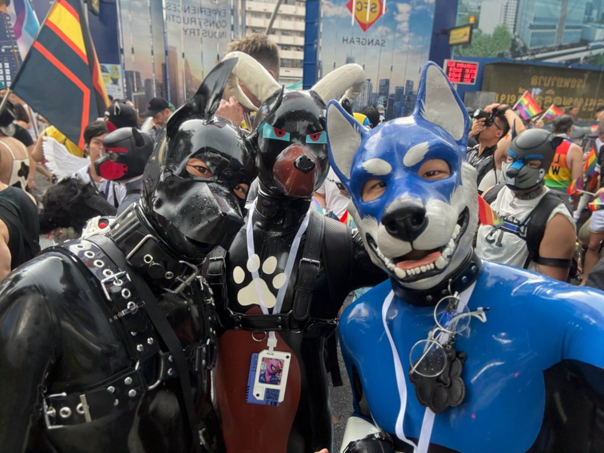 ZebraSpidey's tweet photo. 认识了好多人
@dragons_1001 
@xxxvald 
@Pupfengdi 
@PAWPRINT_T 
@pupdonggua https://t.co/NjysVGxen5