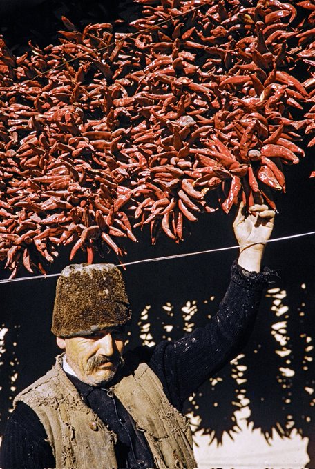 Eastern Bloc Visuals tweet media
