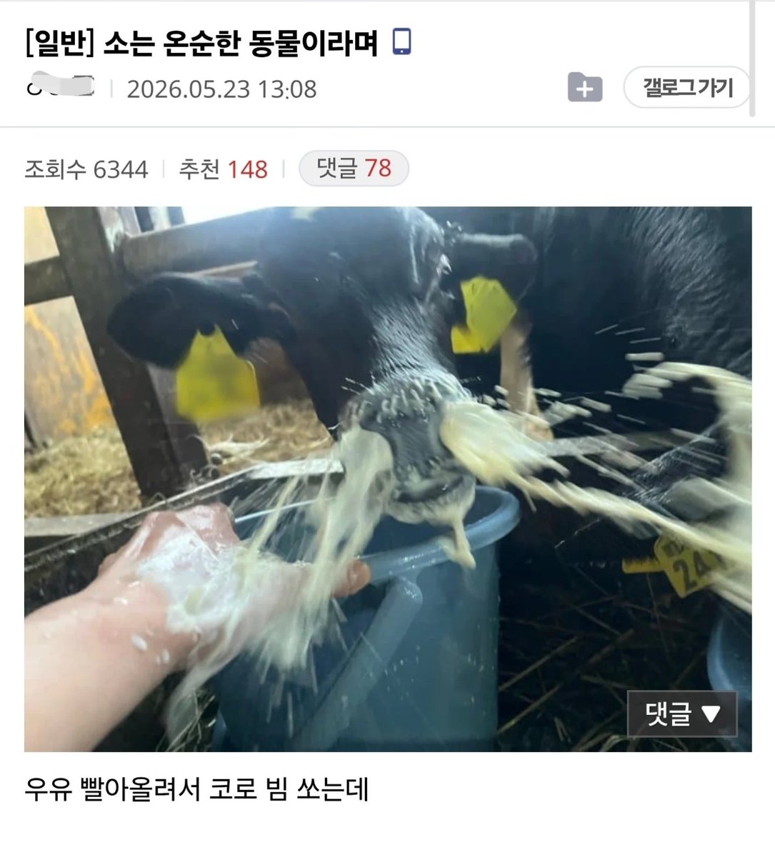 개추보관함 tweet media