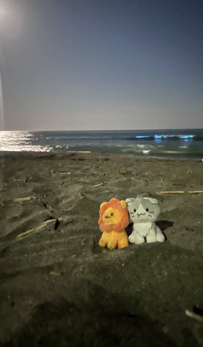 kaoo_oringoo's tweet photo. どうしても見たくて来ちゃった！！
#夜光虫
#鎌倉高校前 https://t.co/3r0dugnKWn
