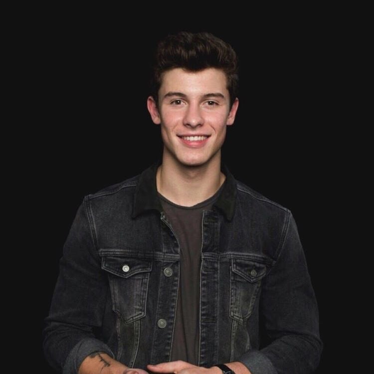 Shawn Mendes Updates tweet media