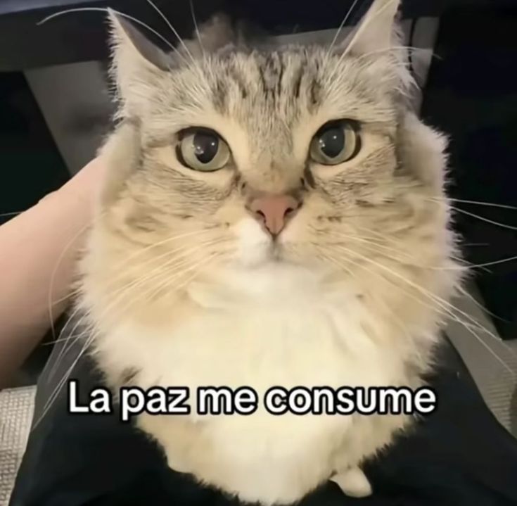 Samlxzin's tweet photo. https://t.co/rmIu0DKmxy
