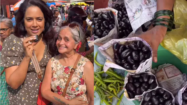 NDTVFood's tweet photo. Moto Mircha To Giant Garlic, Sameera Reddy Reveals The Best Local Finds At Goa's Mapusa Market
https://t.co/JvnVDwTNys
#sameerareddy #goa #mapusa https://t.co/SrsTouxr25