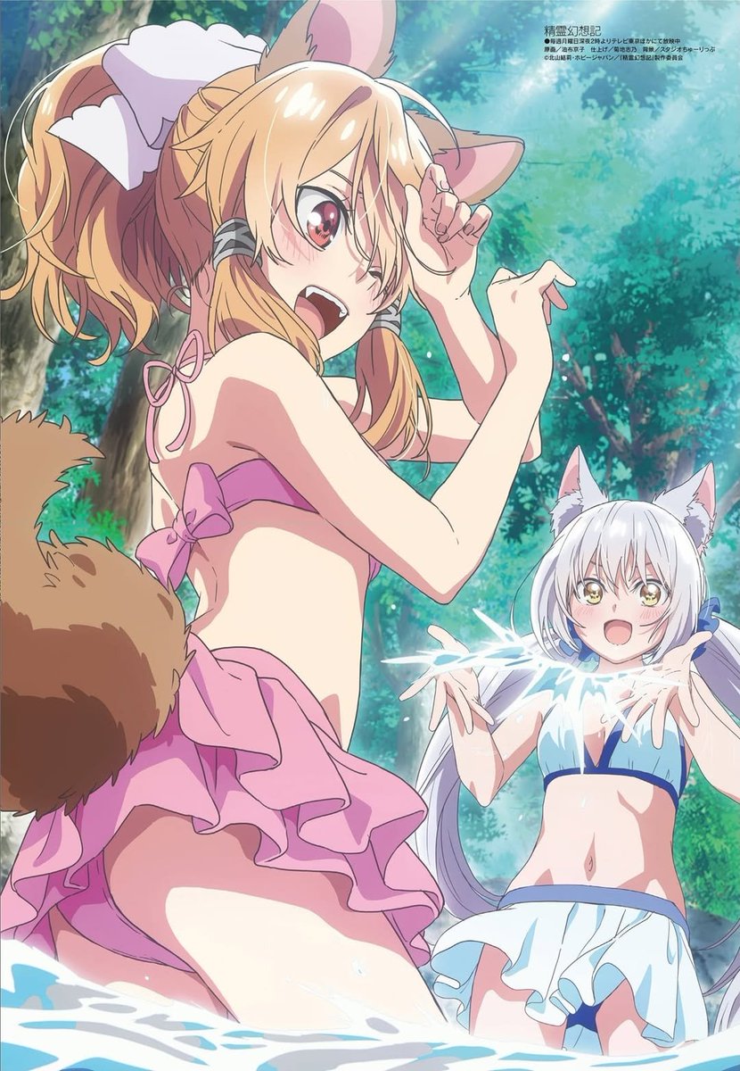 TTanspotty's tweet photo. @suzumyaa Latifa - Anime :  seirei gensouki https://t.co/9YGsT0D4Kh