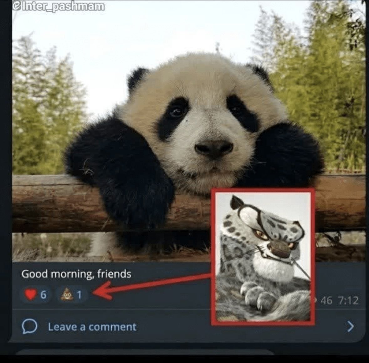Moon tweet media