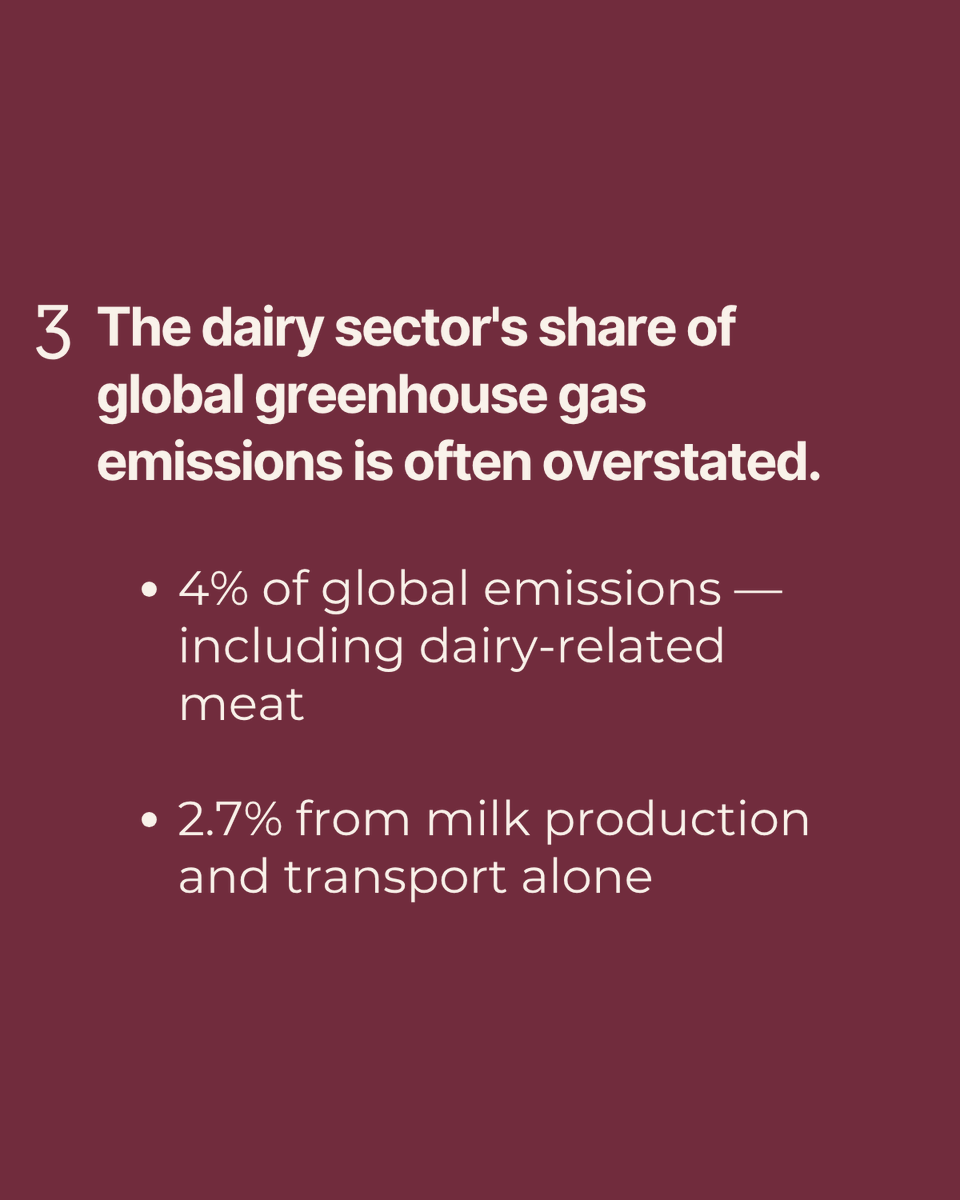 ILRI's tweet photo. Tomorrow is #WorldMilkDay, and this year we’re focusing on a critical reality: Healthy herds mean a cooler planet. 🌍🐄

When climate shocks and severe droughts hit, it is women smallholders—who operate with less land and fewer safety nets—who lose the most.

At @ILRI, we believe the solution isn't fewer animals, but smarter science. Closing the productivity gap is one of the most powerful climate interventions we have:

🔹 More Milk, Same Herd: Moving from local breeds to well-matched crossbreds can triple milk yields

🔹 Climate-Smart Resilience: Developing heat-tolerant breeds and drought-adapted forages through our Livestock and Climate Solutions Hub to protect women's livelihoods.

By getting better genetics, nutrition, and health tools directly to smallholder farms, we can simultaneously lower emissions and secure incomes.

Stay tuned as we celebrate the women at the heart of dairy tomorrow!

🔗 https://t.co/HQ465Jguwy

@FAOLivestock @CGIAR @GlobalDairyP 

#ClimateSmartAg #LivestockScience #WorldMilkDay #Sustainability #MethaneReduction #WomenInScience