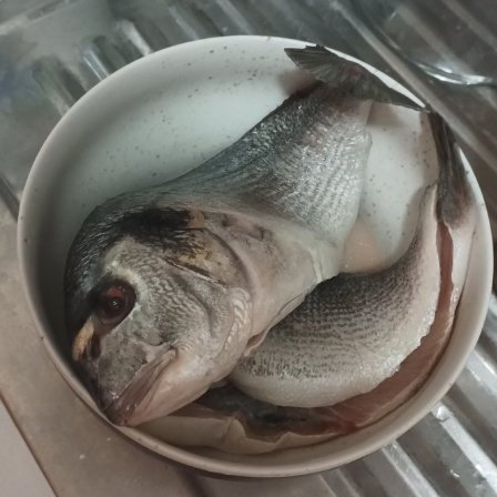 GamesMdot's tweet photo. Why the fucking fish looking me like that https://t.co/Dkm5v9ztXj