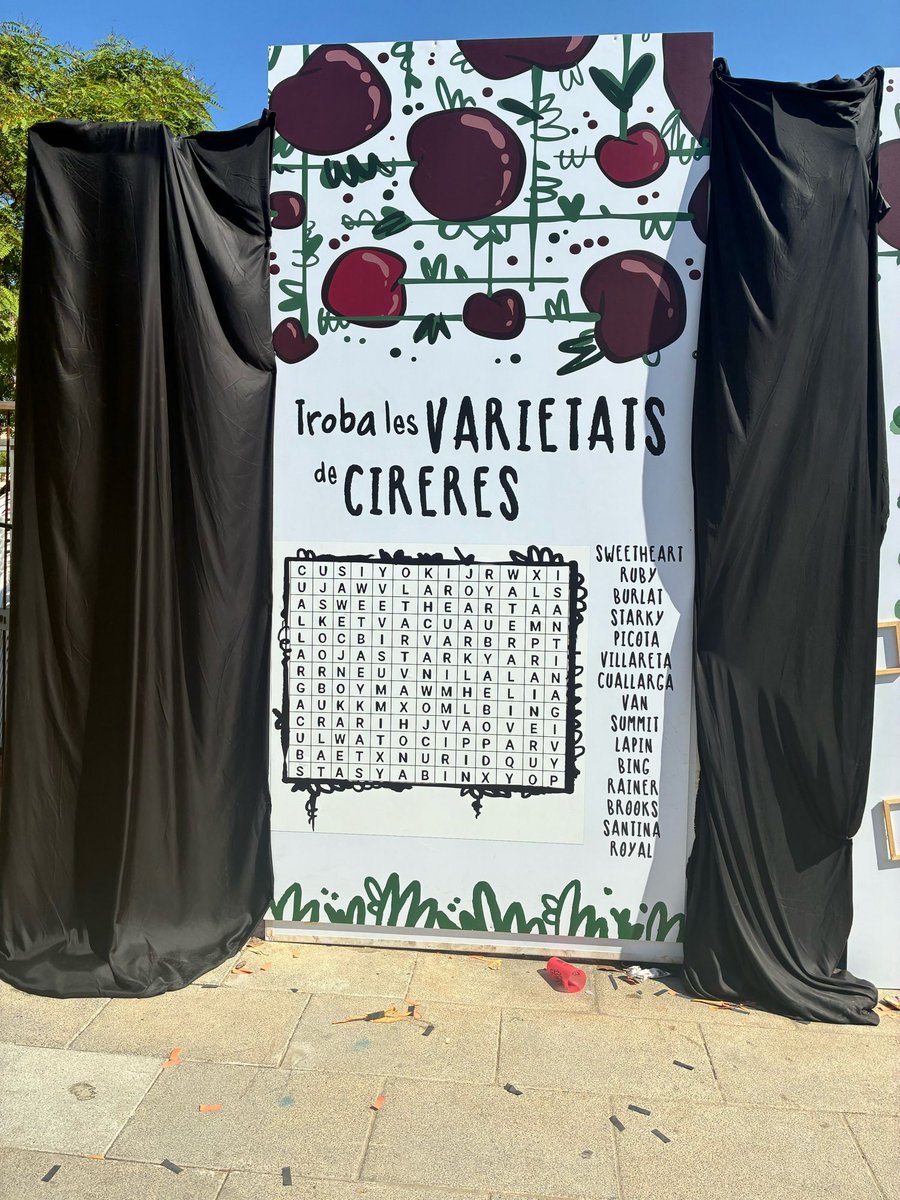 mikller's tweet photo. 🍒 La 41a Fira de la Cirera reivindica el Parc Agrari del Baix Llobregat, la pagesia, l'autosuficiència alimentària i la importància de fer poble i mantenir viu el territori.

🍒❤️

#FiraDeLaCirera #SantaColomaDeCervelló #ParcAgrari #ProducteDeProximitat #FerPoble #Tradició https://t.co/18nAAfgrDy