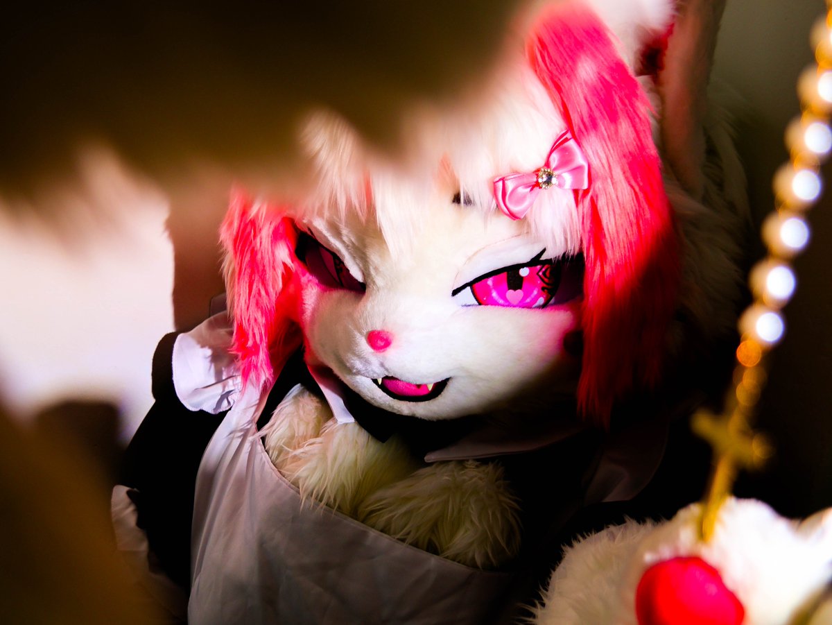 BasdogNews's tweet photo. @TowaFox_Suit 
@RuRung6060 
#furrygps https://t.co/SPfpow5CUA