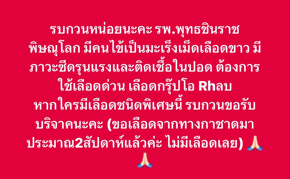 ช่างแม่ง🐰🏳️🌈 tweet media