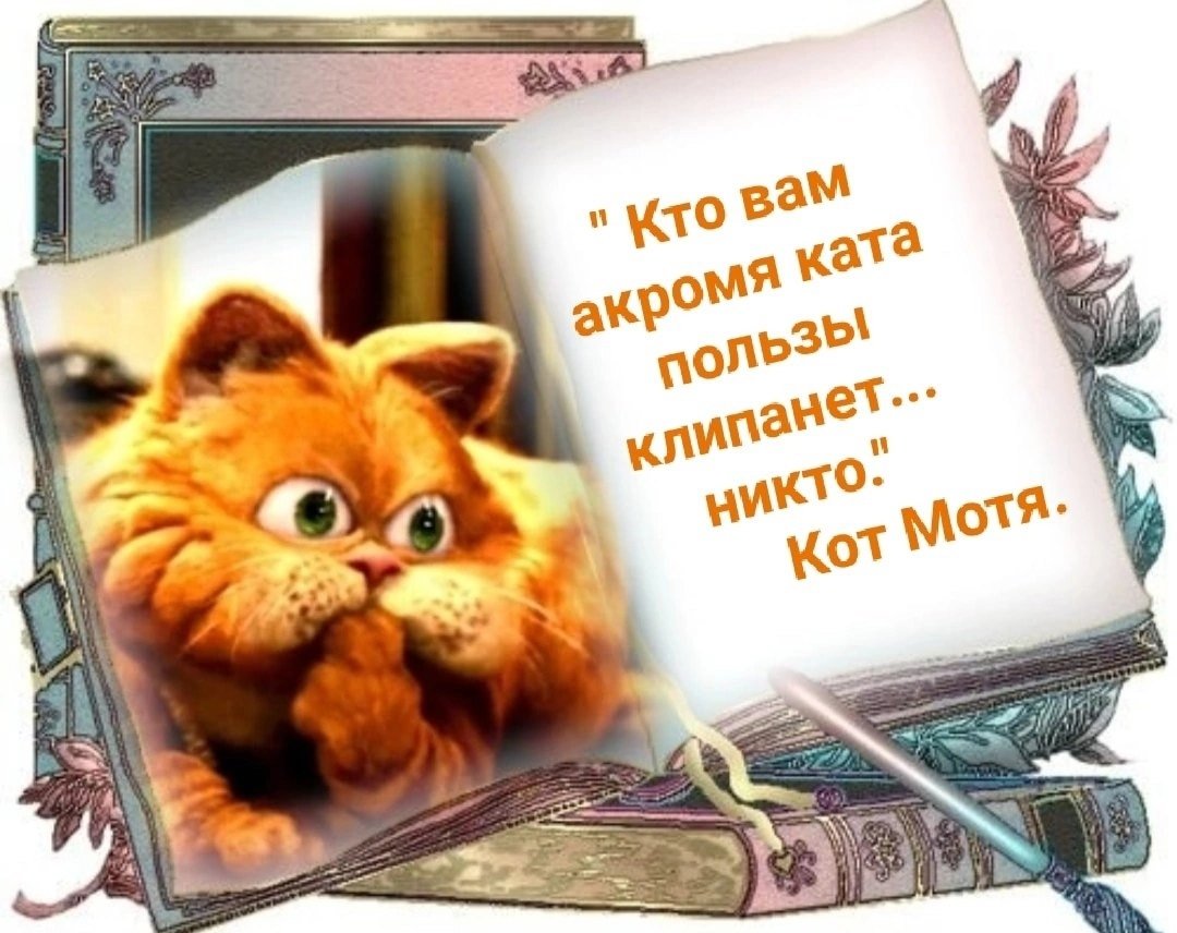 LycarVitalja's tweet photo. @katMotja Спасиба за шыпка полезную и нужную Пользу сиводнишнюю любимый и солничный Котус рыжотус! Ибо хто ,акромя Ката иё клипанёт? Никто...Чудаф и мёдаф мишок Кату и ишчо две шыколадных тортаф сверху!😽💖🎁🍯🎂🎂 https://t.co/VcBoaAPutR