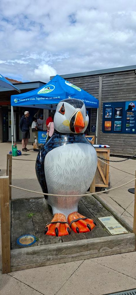 MyWay33464's tweet photo. So, a completely spontaneous decision to visit the Bempton Cliffs. I took the train to Bempton. From there, it's a 30-minute walk.  I didn't manage to see one in Iceland, but here's my first puffin. What an experience! @Bempton_Cliffs https://t.co/jMspx6OMuH