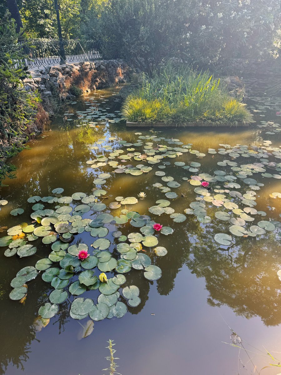 saltwatermp3's tweet photo. I said a prayer for you, I walked to the light on the water https://t.co/XbyLdkY4OX