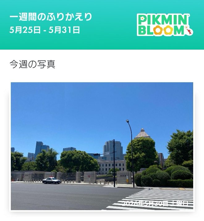 藤夜鏡(testid)☪️ tweet media