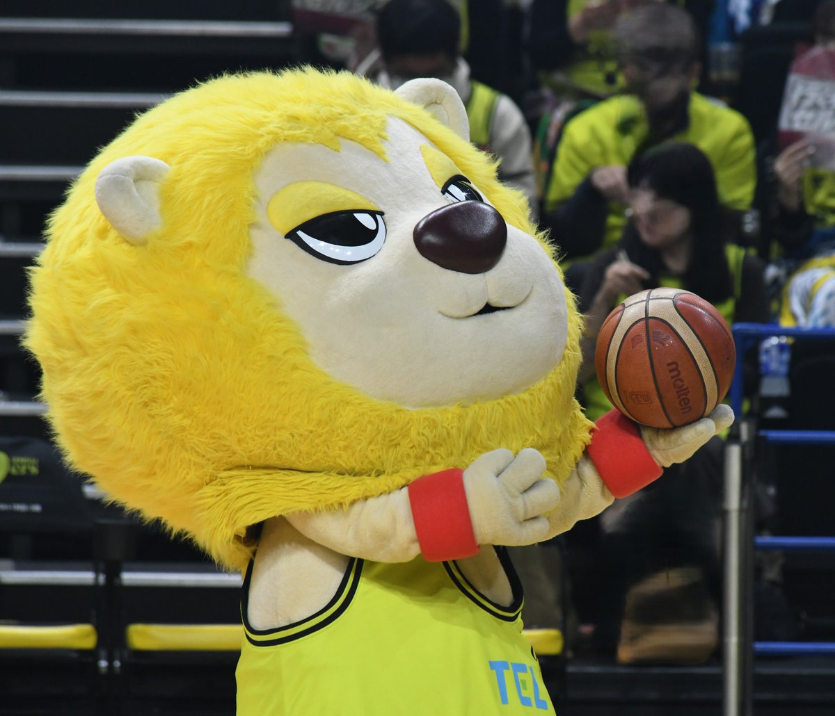 marimothemarimo's tweet photo. これをこーやってここにしまってひょいとやってこのどやがお・・・がお🦁　#89ERS #Bリーグ #ティナ https://t.co/Lf0UuuzOTO