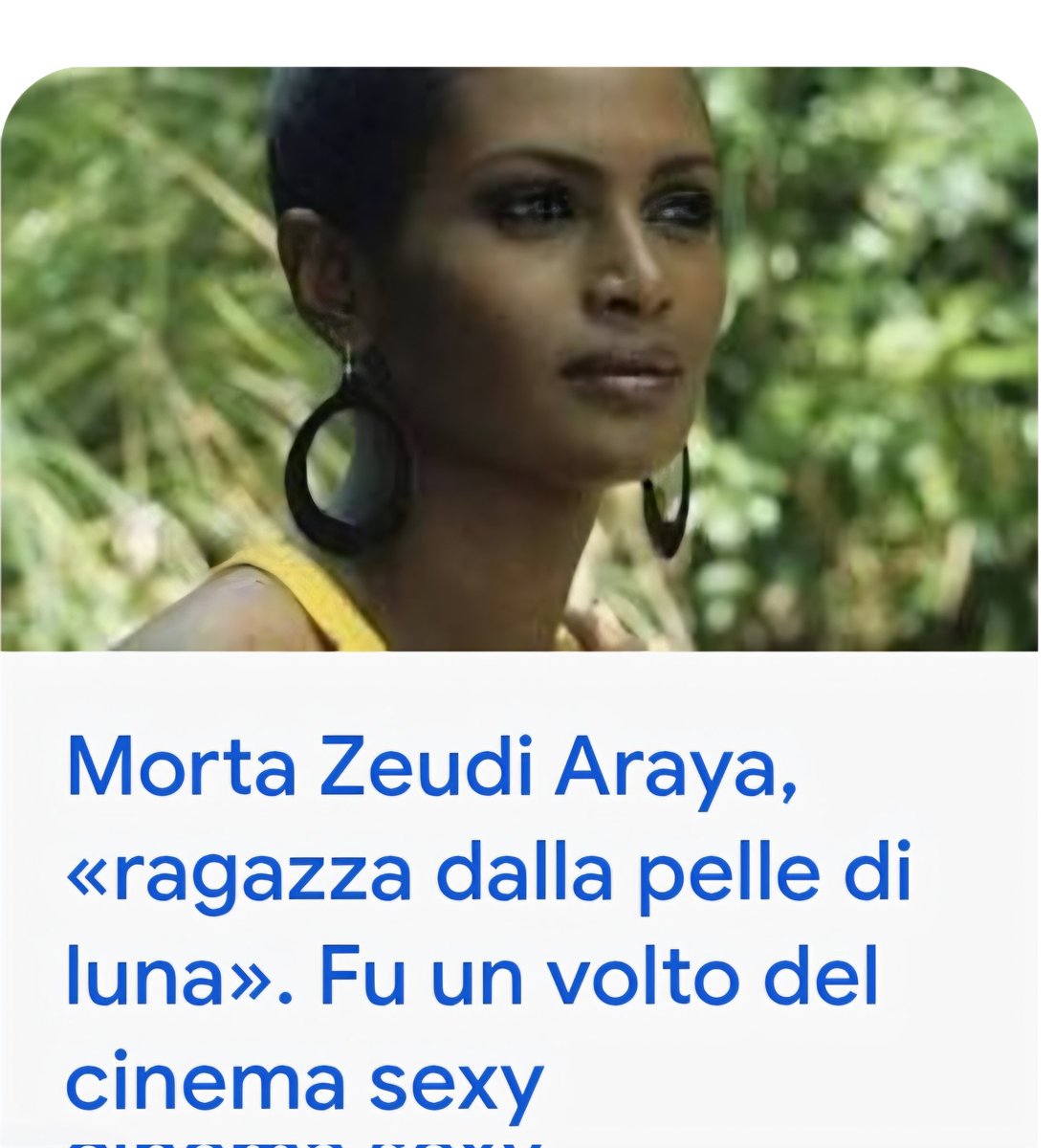 Donatella Chiodi tweet media