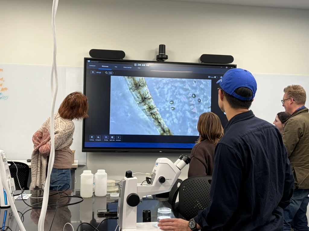 BigelowLab tweet picture