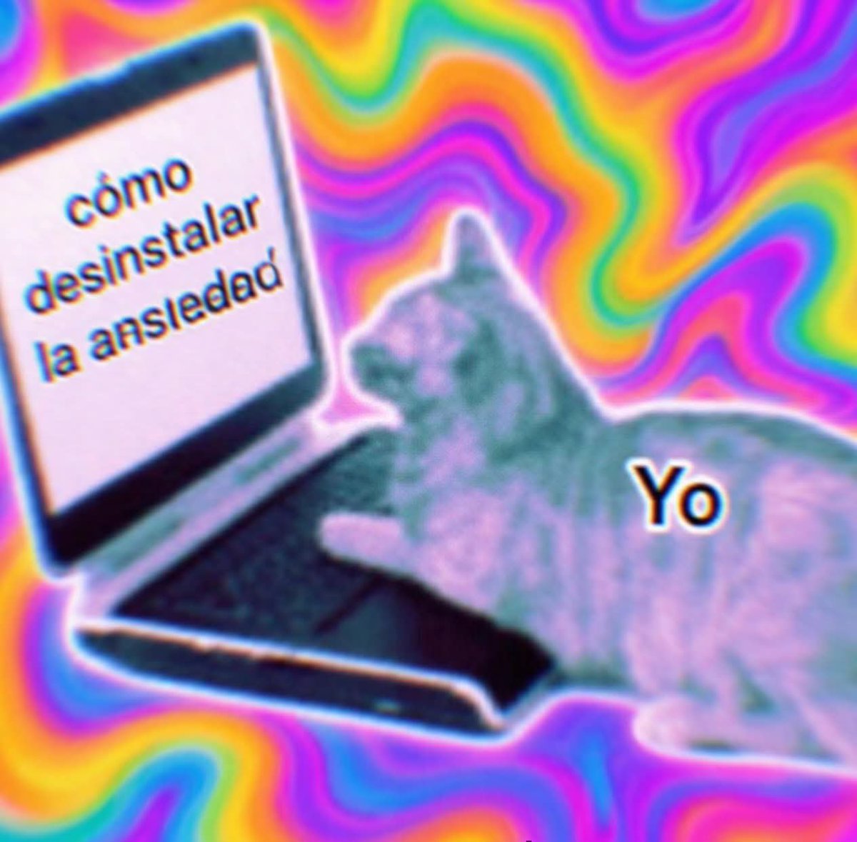 ekkanss's tweet photo. ocupa mucho espacio https://t.co/iHETNbmZyd