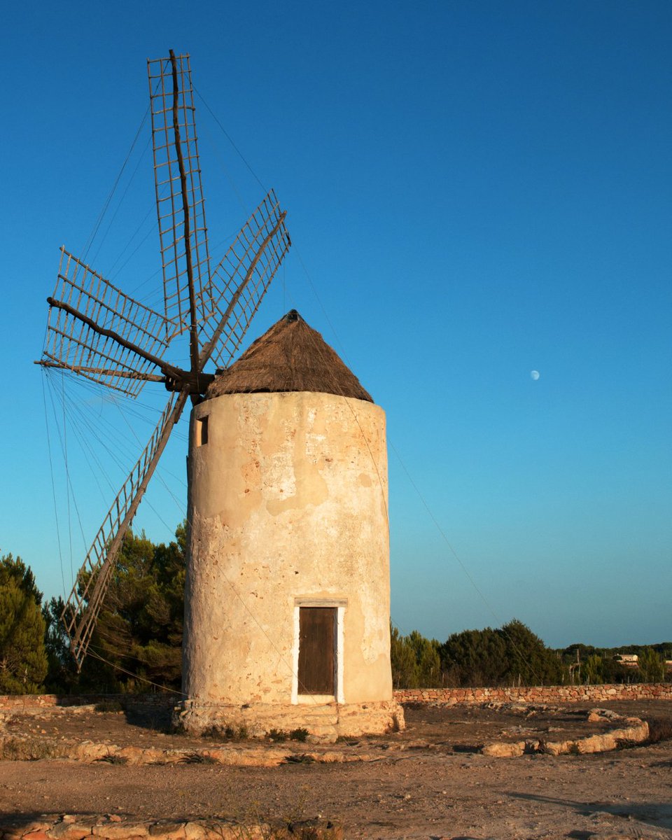 BaleariTur's tweet photo. Oltre ai suoi fari, #Formentera conserva uno dei suoi simboli più autentici: i mulini a vento 🌬️, essenziali per la vita rurale di un tempo, quando il grano era l'alimento base. 🌾

Oggi, il Molí Vell è il mulino meglio conservato e i suoi interni restaurati sono visitabili.📍

#islasbaleares #illesbalears #visitformentera