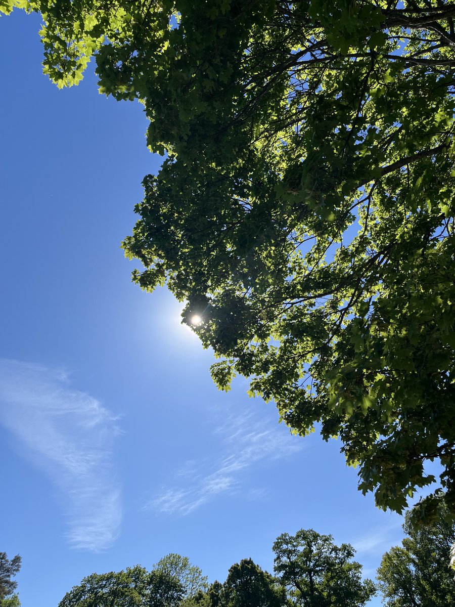 andersarnamnet's tweet photo. 25 grader räcker, inte mer. Inte 30, 35, 40, 45. https://t.co/76AYjFodNj