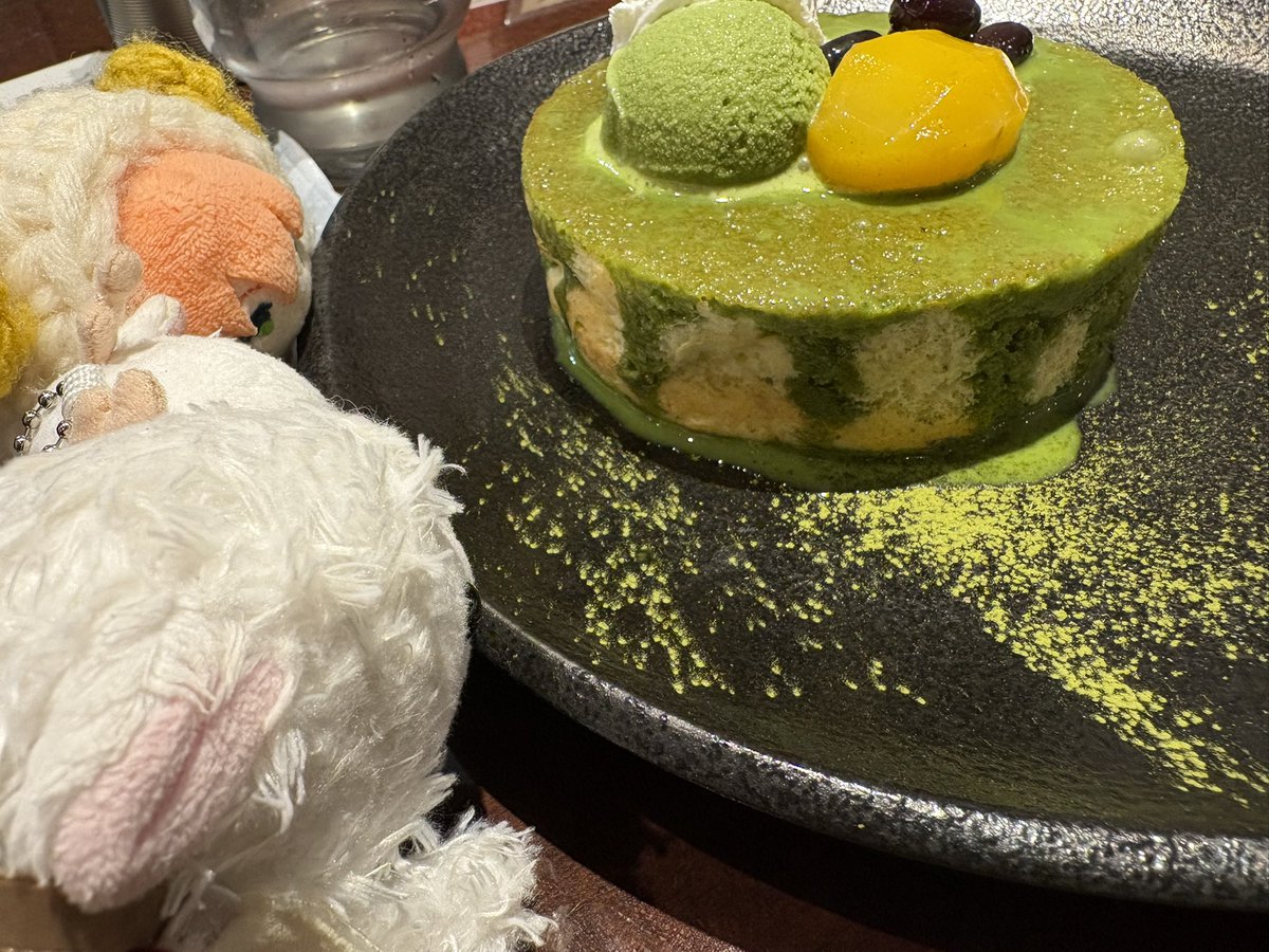 伊莉奈 tweet media