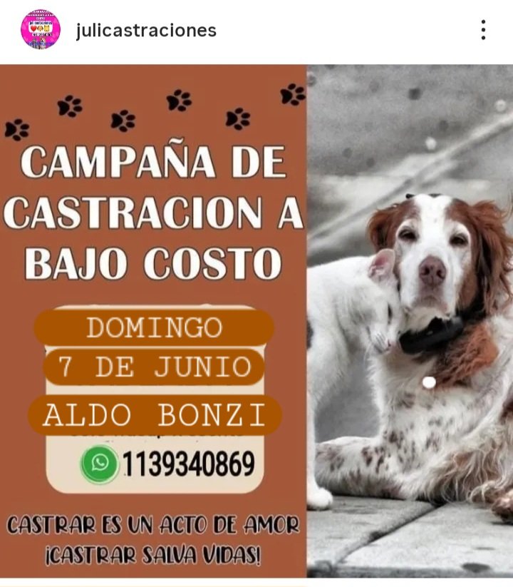 protegealanimal's tweet photo. LA MATANZA
#LAMATANZA #MATANZA #RAFAELCASTILLO #LATABLADA #TABLADA #SANJUSTO #ISIDROCASANOVA #LOMASDELMIRADOR #VILLALUZURIAGA #RAMOSMEJÍA #LAFERRERE #VIRREYDELPINO #CIUDADEVITA #VILLACELINA #GONZÁLEZCATÁN #VILLAMADERO #TAPIALES #ATALAYA #ALDOBONZI #ZONAOESTE #BSAS #CONURBANO https://t.co/uiZgGzKlK0