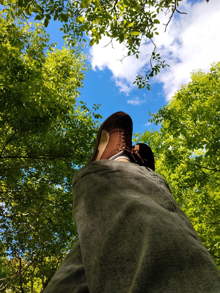 Arzu985's tweet photo. ~~

Gökyüzü kaybolmaz,
          Kitapların şarjı,
                Bisikletlerin benzini bitmez,

Özgürlük budur, özgürlük ucuzdur...

.........................📸🍃 https://t.co/n8KvnIjhzJ