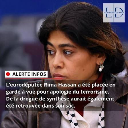 linsurgee1's tweet photo. @RimaHas @quatremer @libe Vivement que 2027 arrive et que ton immunité parlementaire saute que tu retourne dans l’ombre https://t.co/Aad82pSb4R