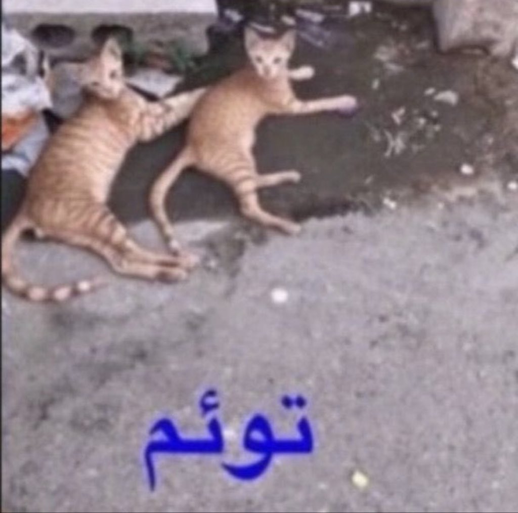 helllin0o0's tweet photo. @Snownaye اي شيء من ريحه الحبايب https://t.co/6VDuzfkDtf