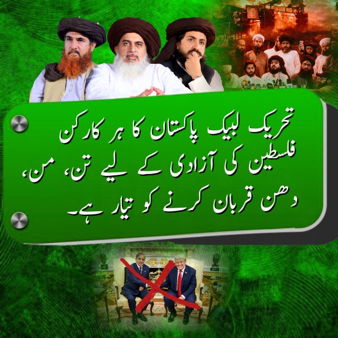 M A Rizvi tweet media