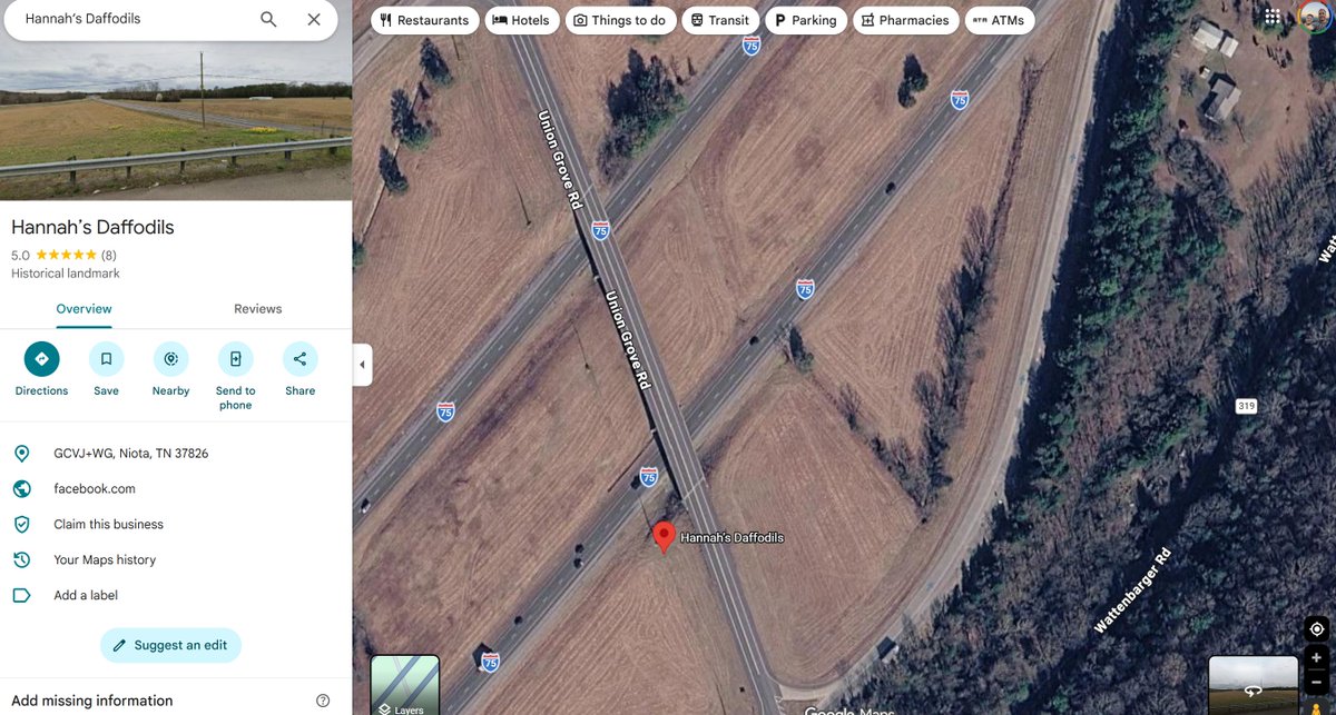 theguardrailguy's tweet photo. Now I am crying!!! 

Someone added Hannah's daffodils to @googlemaps 

She has 8  FIVE Star Reviews. I was doing a Google maps search for something else and this was right there. https://t.co/XvQiLKXQst