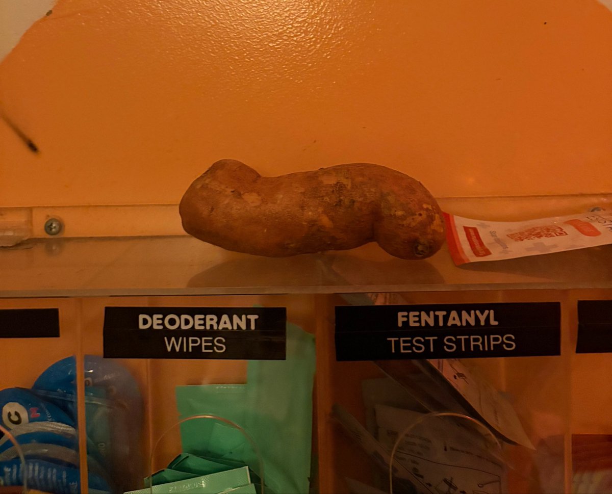 ItWasATea's tweet photo. Someone brought a yam to nowadays and left it in the bathroom https://t.co/OE5hJLEQKW
