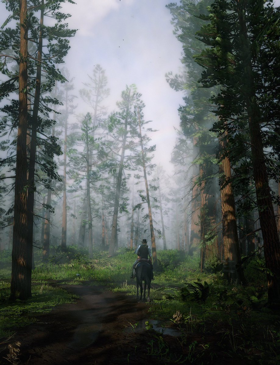 VGWallpapers_'s tweet photo. #RedDeadRedemption2 #Wallpapers

📸: /@SindyJ_B https://t.co/Y7IfsN34AB