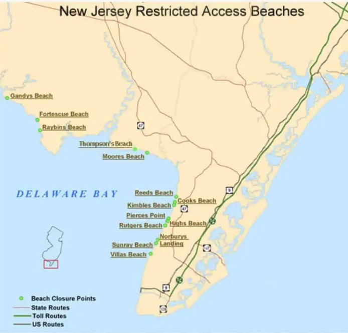 HSCrabRecovery's tweet photo. Read about new regulations that were put into place this year by NJ Fish and Wildlife that allow NJ Conservation Officers the power to issue citations to anyone refusing to abide by beach closures designed to allow shorebirds to feed uninterrupted.

https://t.co/Bb4em7mnM5 https://t.co/Zn1gyWdr7D