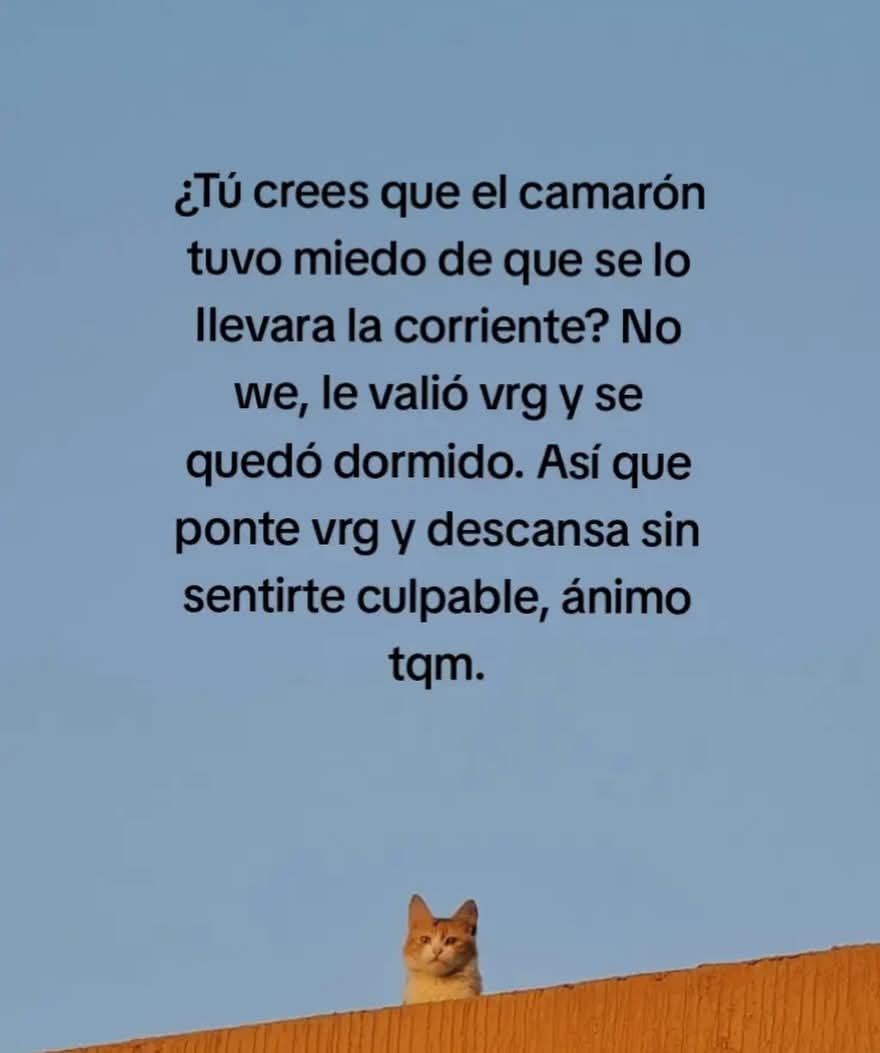 Pedro Pablo Borrelli Gomez tweet media