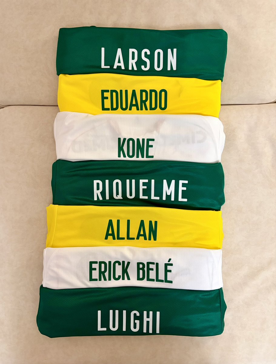 lyandrush's tweet photo. É muito legal ver que muitos dos meus queridos amigos estão hoje na lista relacionados para o jogo contra a Chape✨ 
Desejo a todos nós sorte, vitória e três pontos 💚✅ https://t.co/xIG1DOd7A8