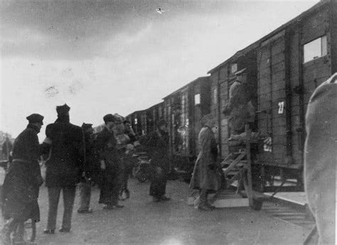 MpathEe's tweet photo. @LionAdvocacy I wonder if, like during WWII, we'll be transported by cattle cars. https://t.co/6kgTc4gaSM