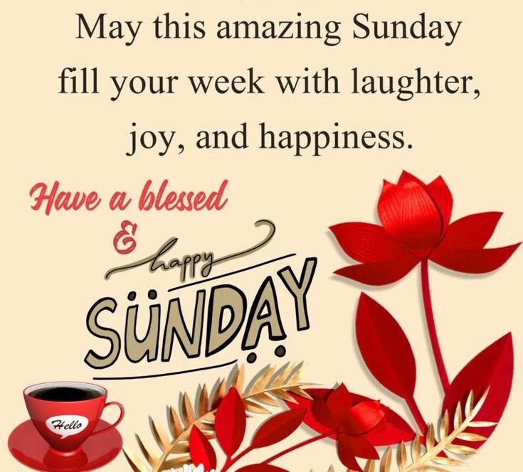 Rammohan_M_Rai's tweet photo. Start this Sunday with a clean heart.. #WeekendInspiration #ThinkBIGSundayWithMarsha #QuotestoUplifttheSpirit #quotestoliveby #LessonsofLife #SuccessFormula #success #possibilities https://t.co/M6gf5ekNws