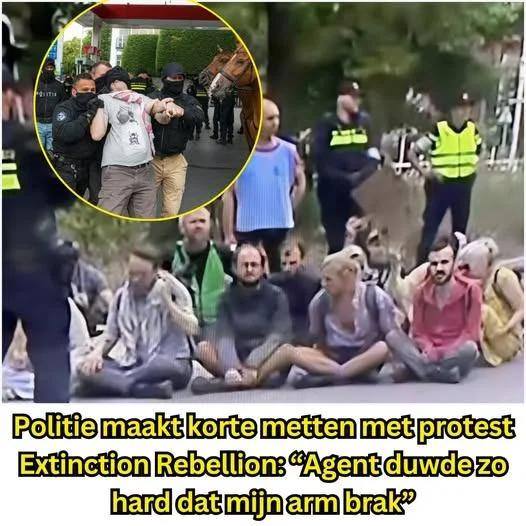 Albert Cremer tweet media