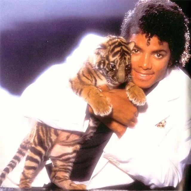 ThePopFlop's tweet photo. Michael Jackson’s ‘Thriller’ charts at #5 on the Billboard 200 with 64,000 units sold. https://t.co/AUzezrGKdi