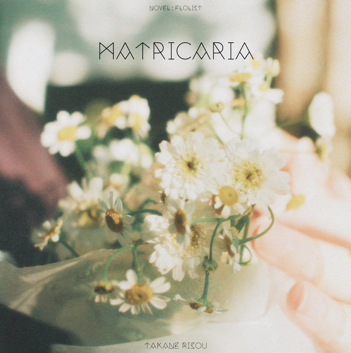 _kotoba_drops's tweet photo. 3rd single「matricaria」

配信開始しました。

変わりゆく季節と関係の中で揺れる心情を描いた「マトリカリア」という音の花束です。よろしくお願いします。

Jacket Design：高嶺 理想

配信サイト↓
https://t.co/wDW5lWba8Y

#newmusic #matricaria #高嶺理想 #オリジナル曲 https://t.co/fy7RfBPDrv