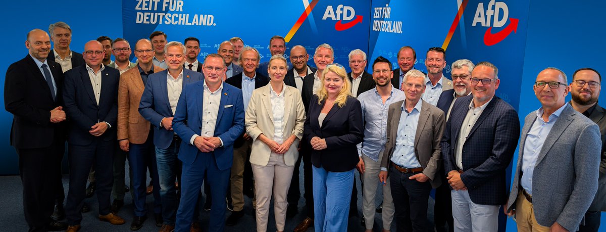 Alice Weidel tweet media