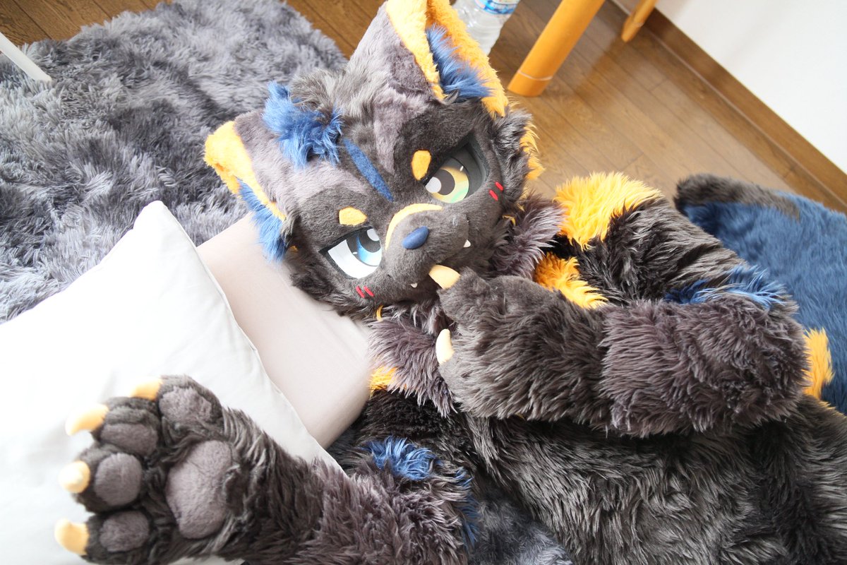 凯kAi (@kaikai_furry) / Posts / X