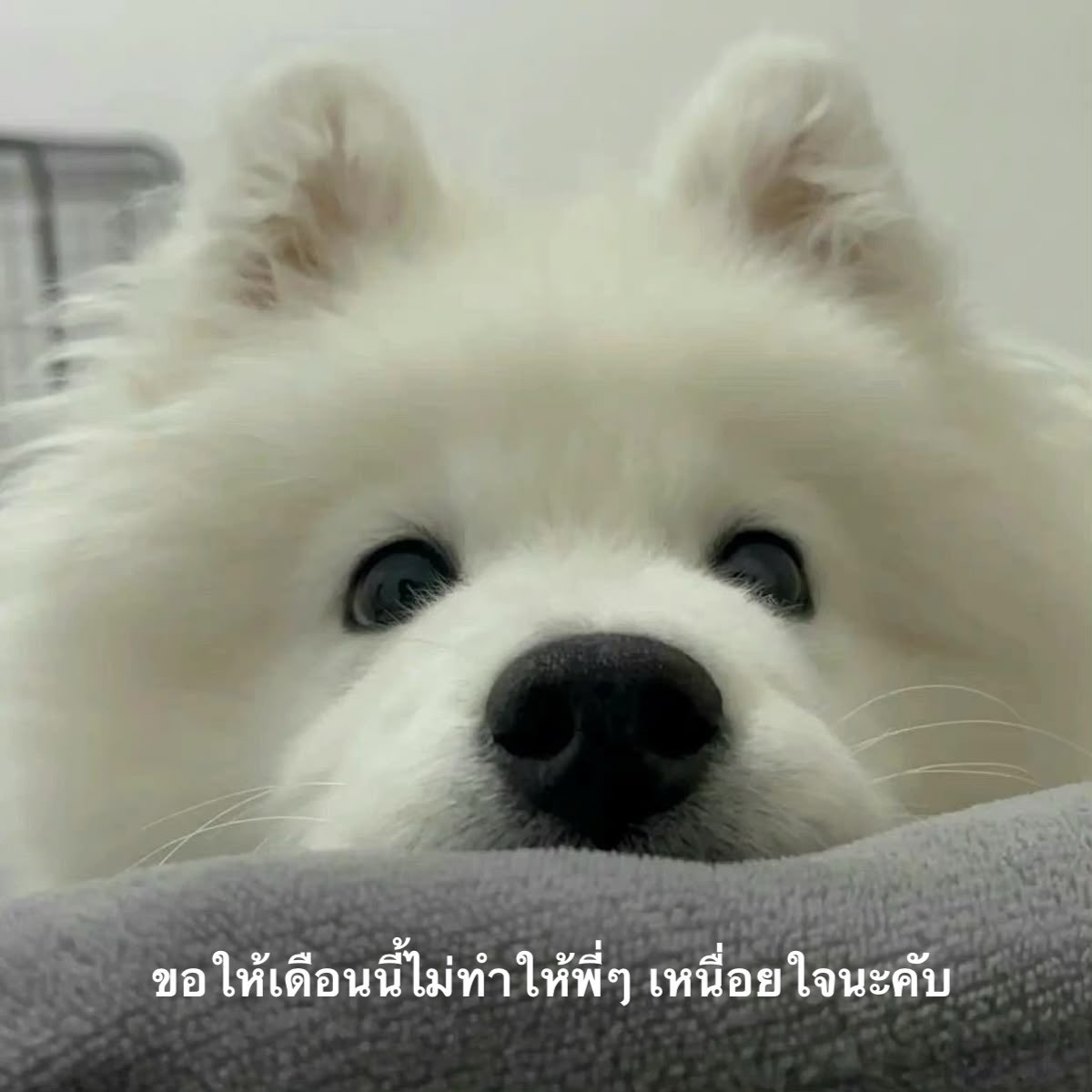 itmydefinition's tweet photo. june wish: https://t.co/vgSMsyscuV