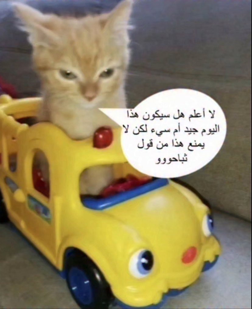 .. tweet media