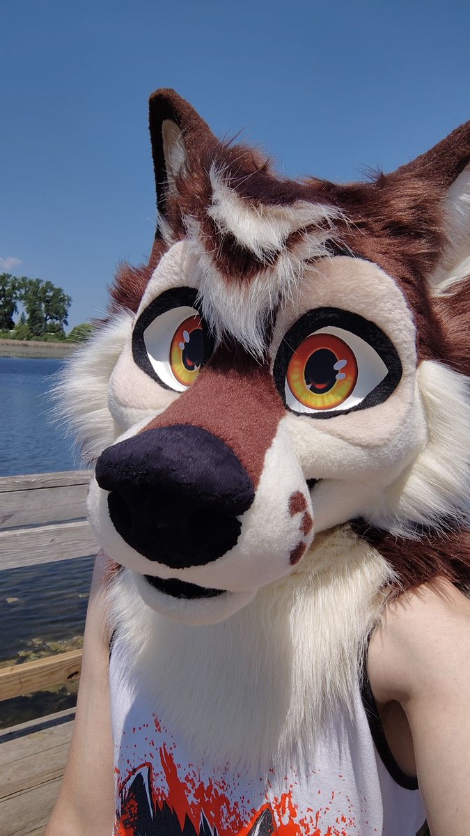 TazztheWolf's tweet photo. Hi https://t.co/Xl2Sg6D5nG
