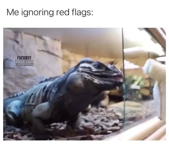 Enfer_K's tweet photo. @theair_seph La parte de Kobayashi y los letreros de osos me recuerdan a este video donde hay una señal que dice que este lagarto es venenoso (Venom en inglés), y un tipo cree que ese es su nombre, y encima le da de comer un plátano XD https://t.co/UsEVvhR3Ja