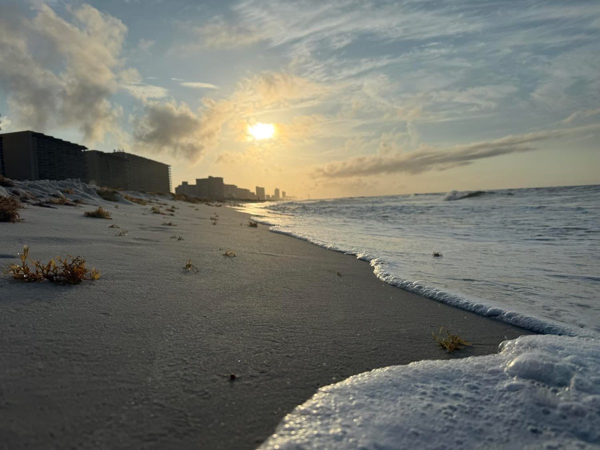 taasro's tweet photo. Good morning from @cityorangebeach. 🌞 We wish you all safe travels today. https://t.co/HTFgxEkbhN